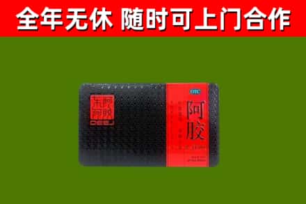 金州区回收阿胶